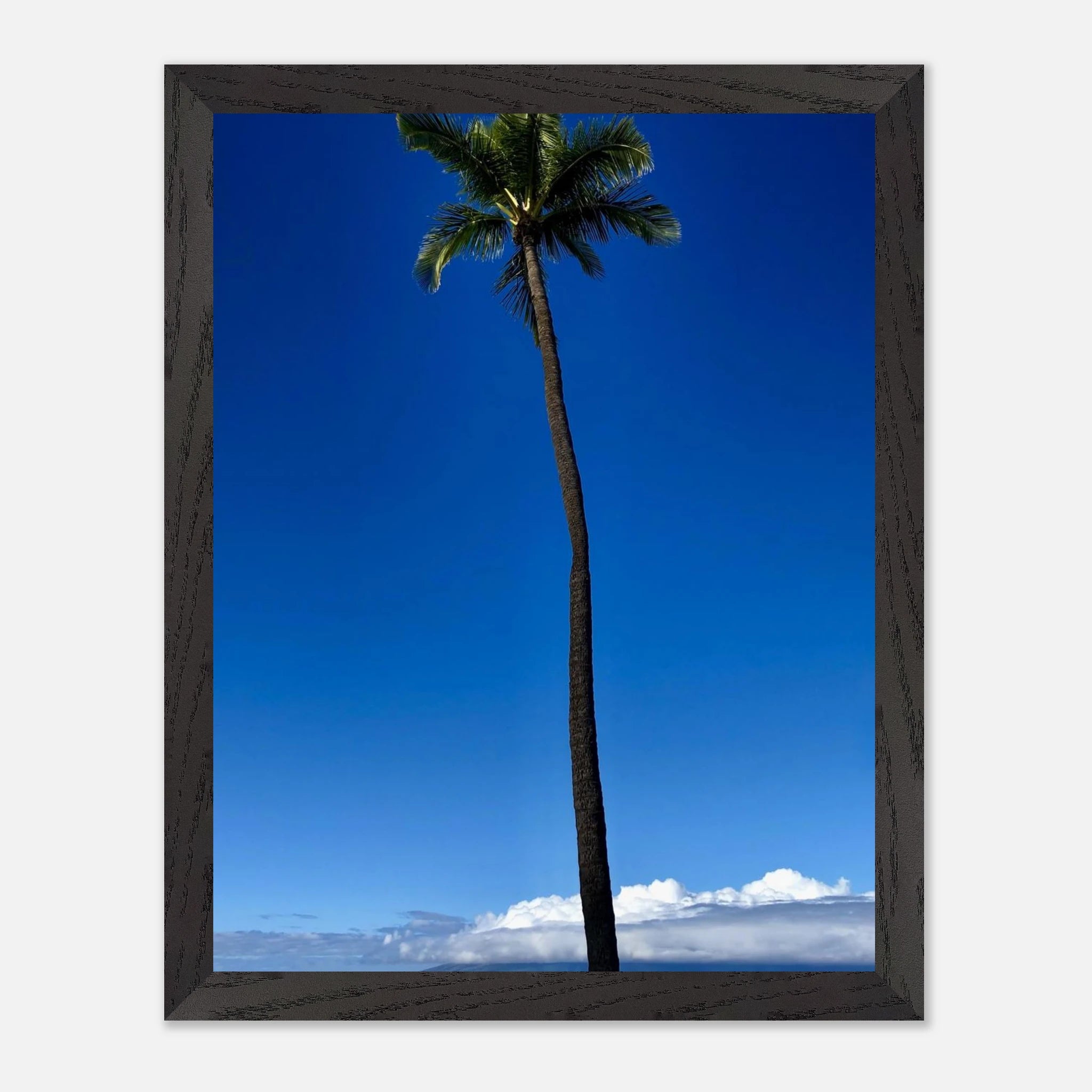 Framed Maui Hawaii Majestic Palm Tree print by CaliCuration, showcasing tropical palm trees and lush island scenery in a mounted poster.