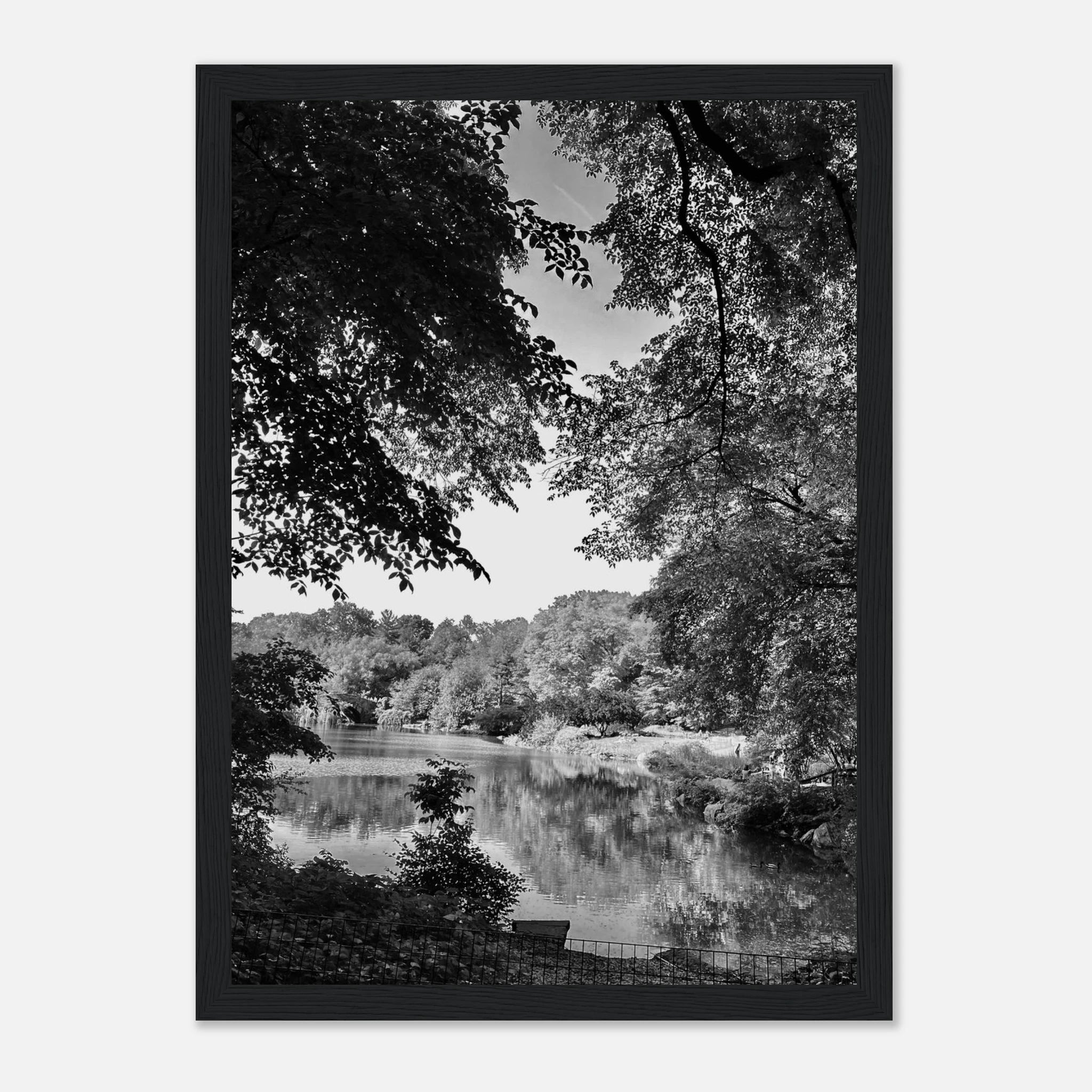 Black and white framed print of Upstate NY summer lake scene from My Store's Travel Collection, Studio Edition.