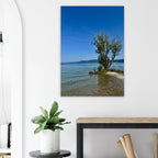 European lake scene with majestic tree aluminum print, nature-inspired wall art from the Travel Collection by My Store.