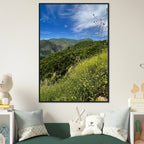 Wooden framed Malibu Canyon Wildflowers poster on museum-quality matte paper wall art, featuring California wildflower scene.