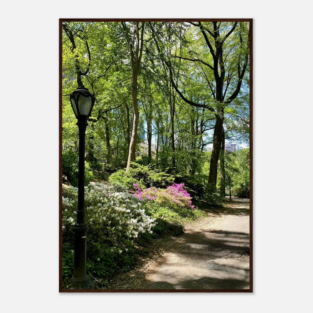 Framed art print of Central Park walkway on premium matte paper, wooden frame, from the Serene Stroll travel collection.