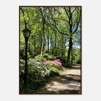 Framed art print of Central Park walkway on premium matte paper, wooden frame, from the Serene Stroll travel collection.
