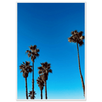 Wooden framed Santa Barbara Palm Tree Magic poster on semi-glossy paper, California-themed home decor by CaliCuration.