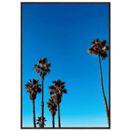 Wooden-framed Santa Barbara Palm Tree Magic poster on semi-glossy paper, California home decor art by CaliCuration, Spring 2026.