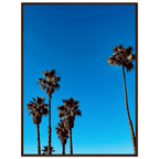 Wooden framed Santa Barbara Palm Tree Magic poster featuring California art on premium semi-glossy paper, Studio Edition Spring 26.