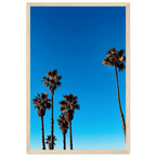 Santa Barbara Palm Tree Magic wooden framed poster on premium semi-glossy paper, California poster art, Studio Edition Spring '26.