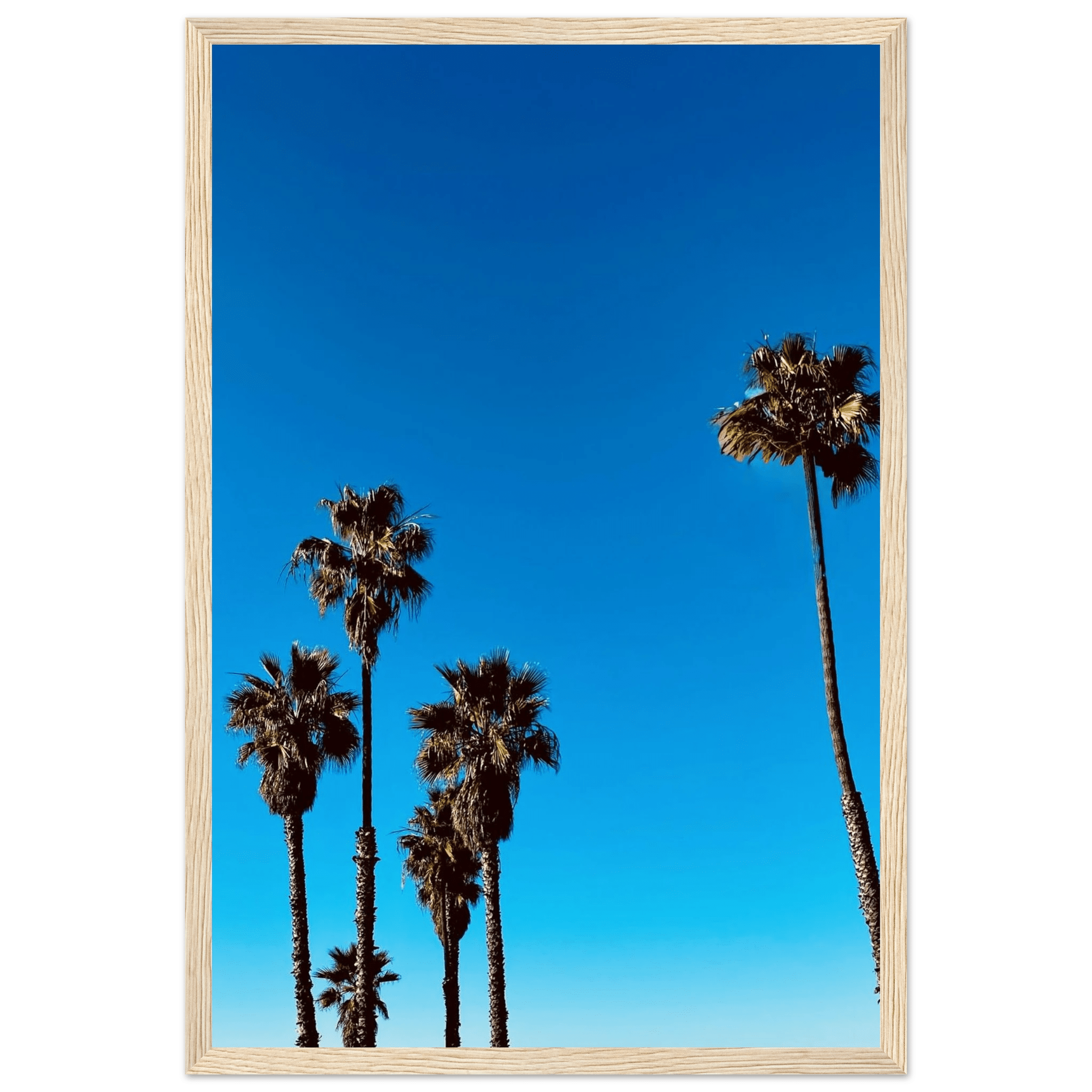 Santa Barbara Palm Tree Magic wooden framed poster on premium semi-glossy paper, California poster art, Studio Edition Spring '26.