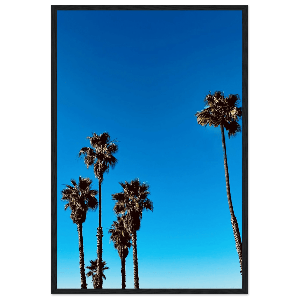Wooden framed Santa Barbara Palm Tree Magic poster on semi-glossy paper, California home decor art by CaliCuration, studio edition.