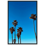 Wooden framed Santa Barbara Palm Tree Magic poster on semi-glossy paper, California home decor art by CaliCuration, studio edition.