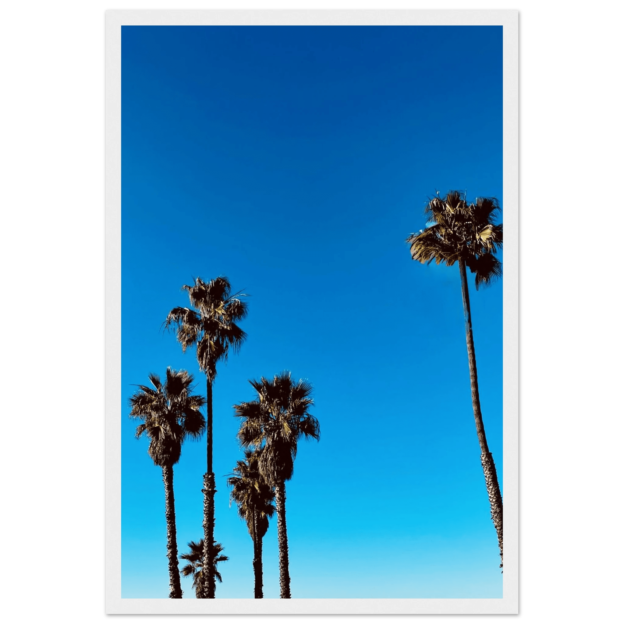 Wooden framed Santa Barbara Palm Tree Magic poster by CaliCuration, featuring California poster art on semi-glossy paper for home decor.