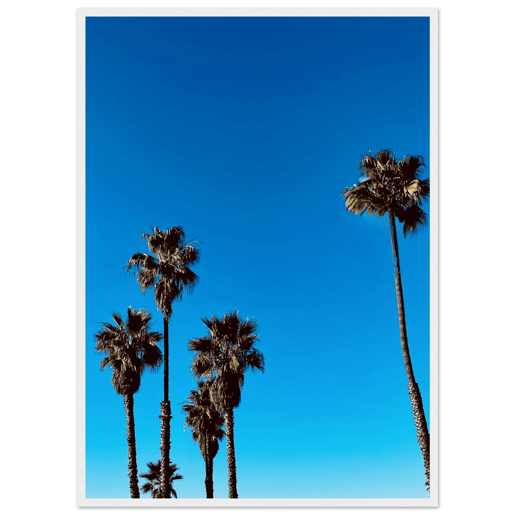 Santa Barbara Palm Tree Magic wooden framed poster by CaliCuration featuring California-inspired palm tree art on semi-glossy paper.