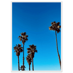 Santa Barbara Palm Tree Magic wooden framed poster by CaliCuration featuring California-inspired palm tree art on semi-glossy paper.
