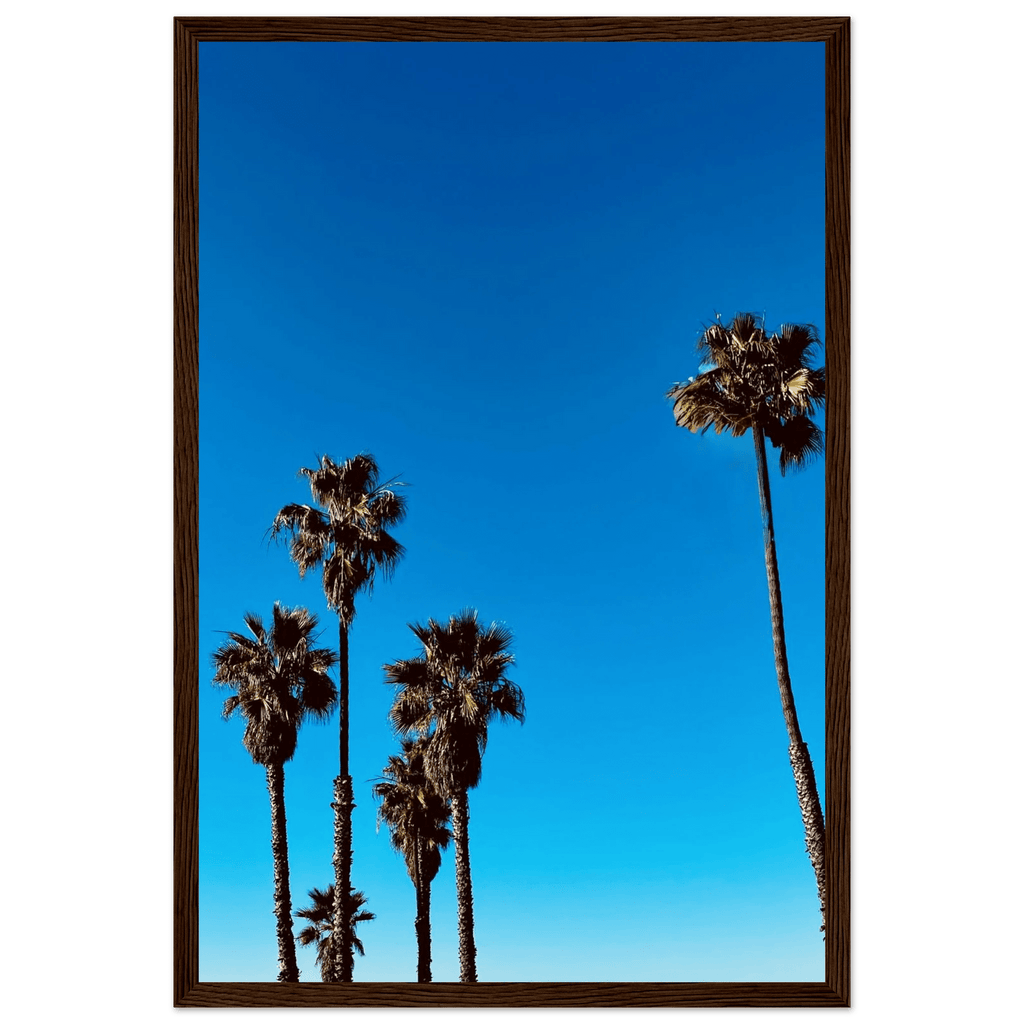 Wooden framed Santa Barbara Palm Tree Magic poster on premium semi-glossy paper, California art home decor by CaliCuration.