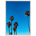 Santa Barbara Palm Tree Magic wooden framed poster on glossy paper, California-themed home decor art by CaliCuration.