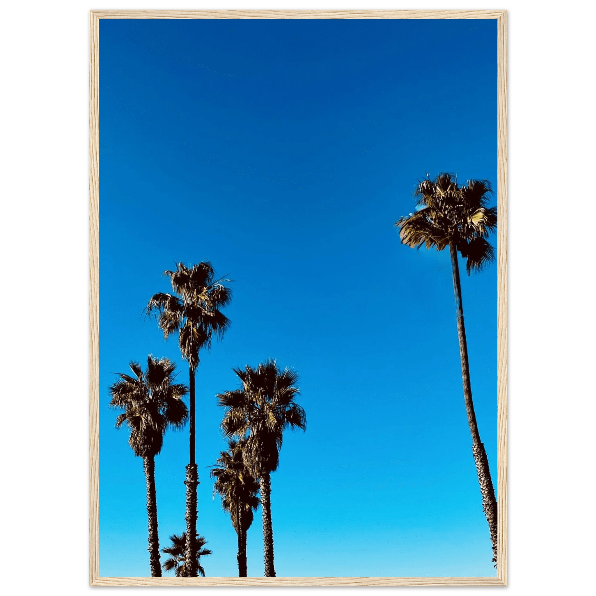 Santa Barbara Palm Tree Magic wooden framed poster on glossy paper, California-themed home decor art by CaliCuration.