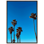 Wooden framed Santa Barbara Palm Tree poster on semi-glossy paper, California home decor art by CaliCuration, Studio Edition Spring '26.