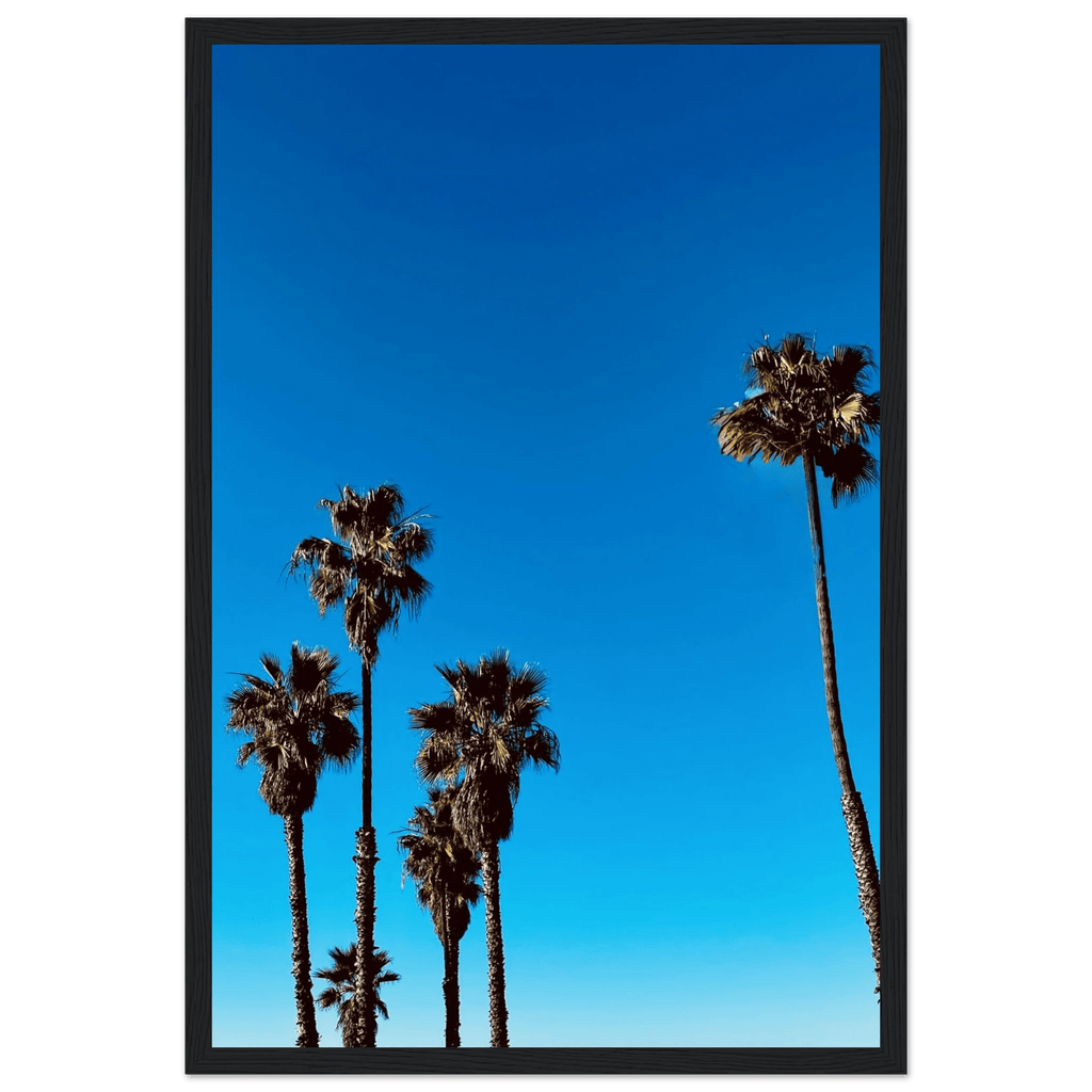 Wooden framed Santa Barbara Palm Tree poster on semi-glossy paper, California-inspired home decor art by CaliCuration.