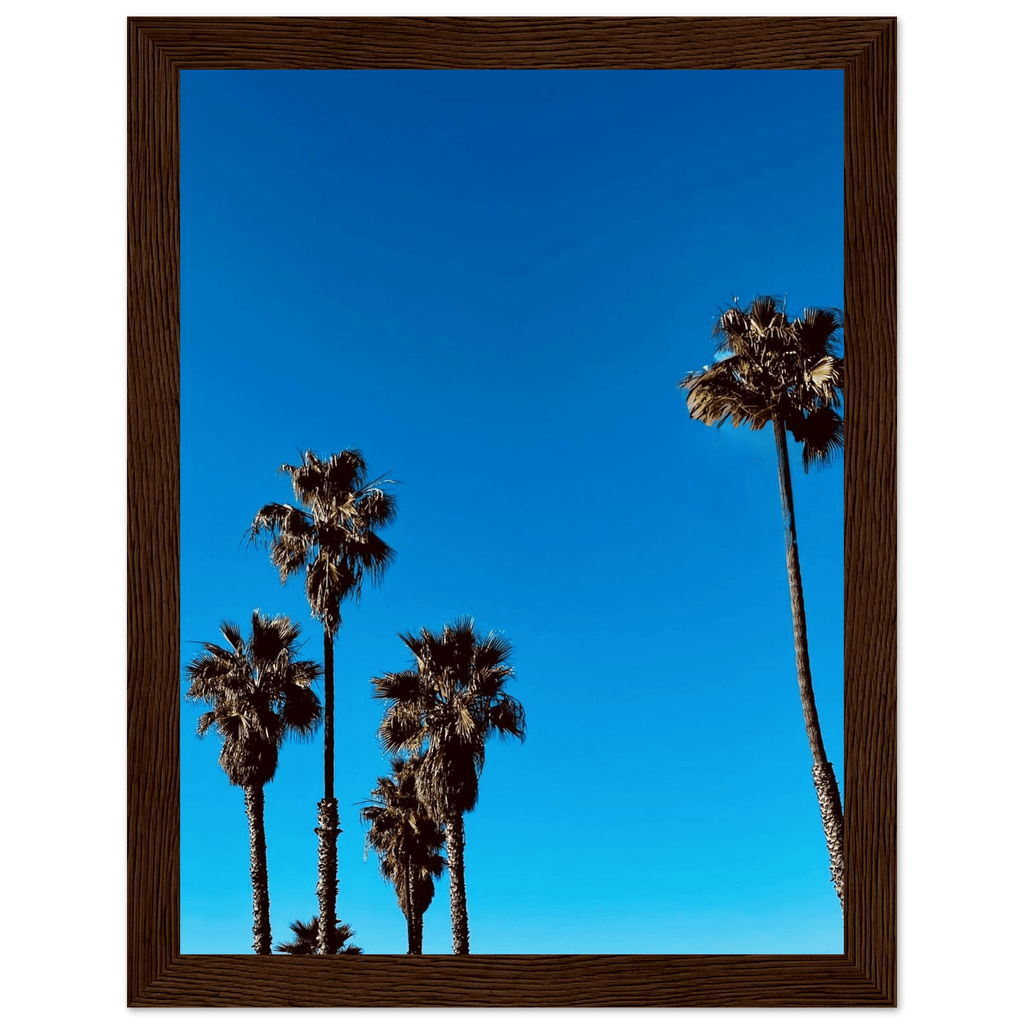 Santa Barbara Palm Tree Magic framed poster on semi-glossy paper, California-themed home decor art by CaliCuration, studio edition spring '26.