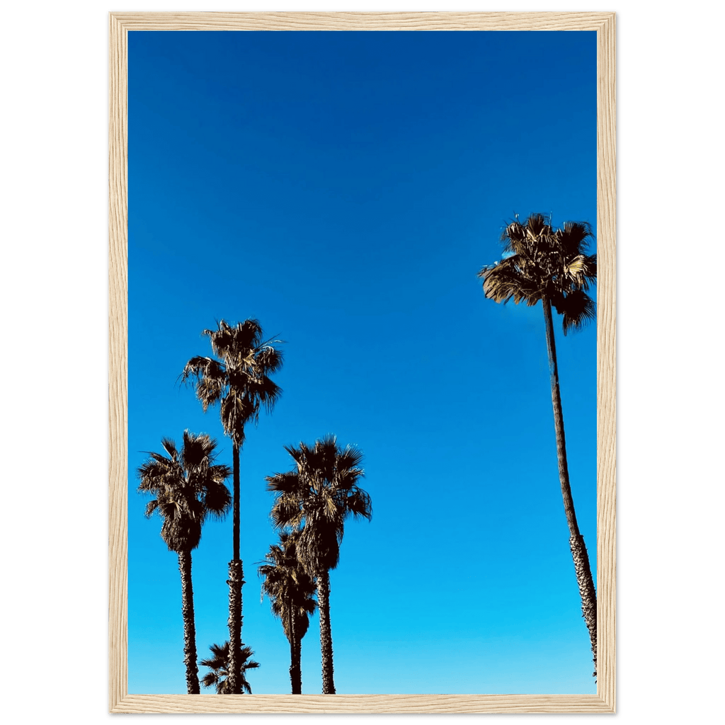 Wooden framed Santa Barbara Palm Tree Magic poster on semi-glossy paper, California-themed home decor by CaliCuration.