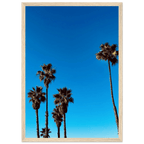 Wooden framed Santa Barbara Palm Tree Magic poster on semi-glossy paper, California-themed home decor by CaliCuration.