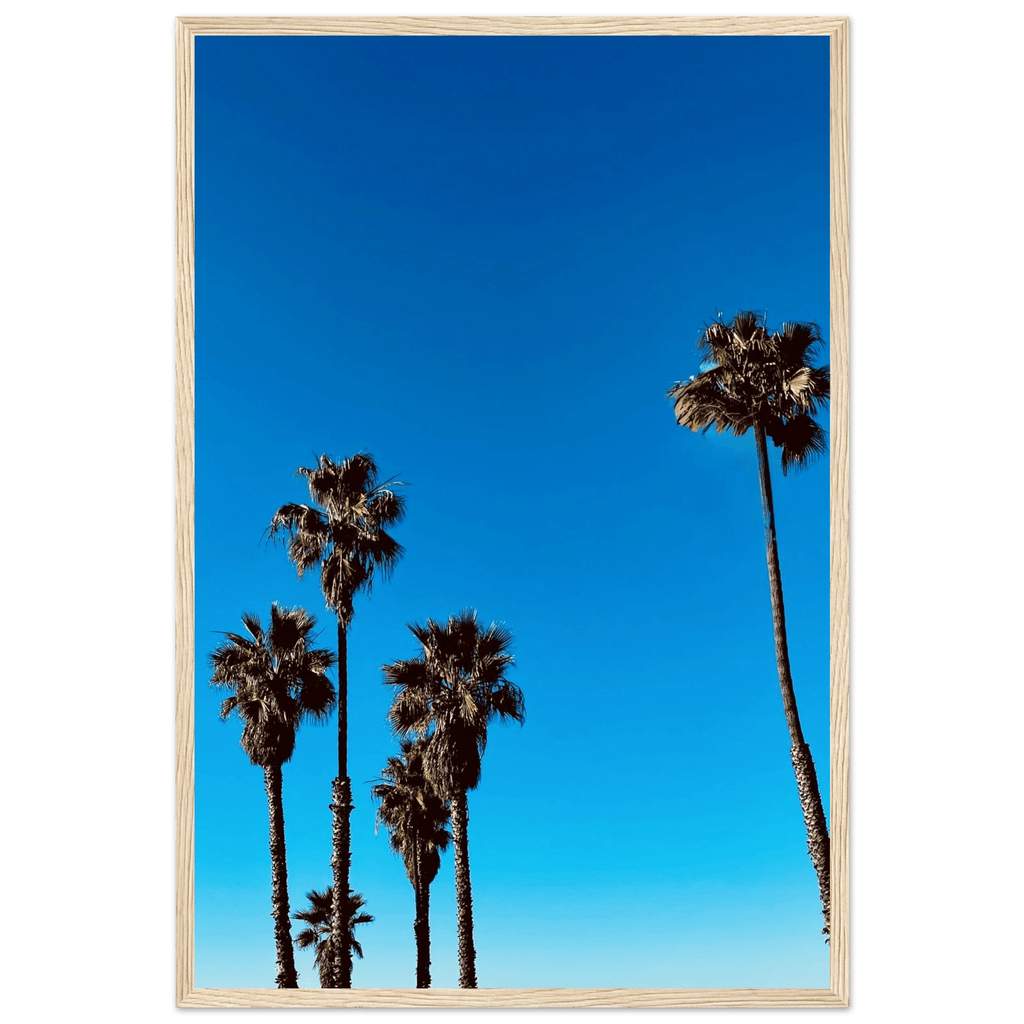 Wooden framed Santa Barbara Palm Tree Magic poster on semi-glossy paper, California-themed home decor art by CaliCuration.