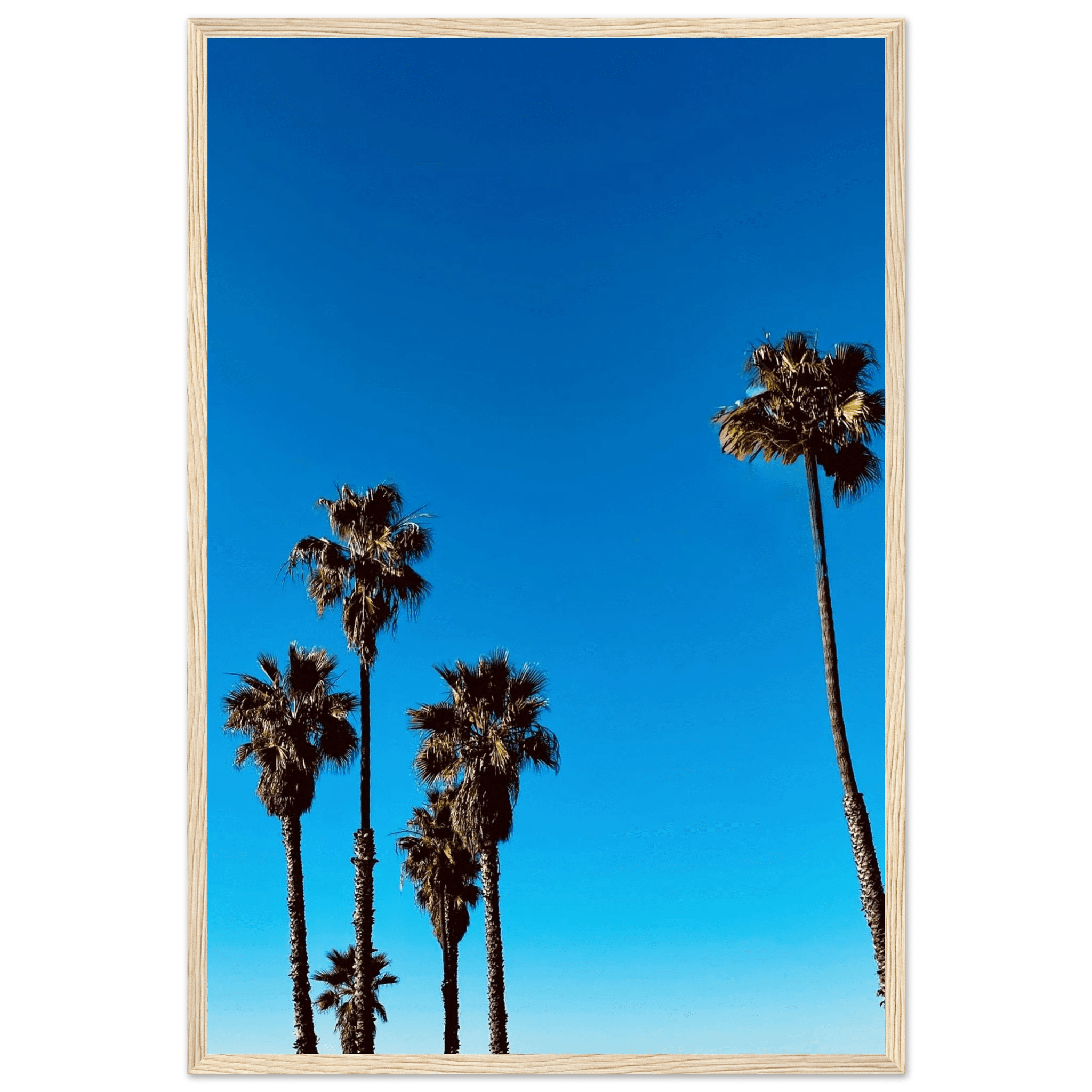 Wooden framed Santa Barbara Palm Tree Magic poster on semi-glossy paper, California-themed home decor art by CaliCuration.