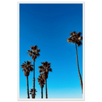 Wooden framed Santa Barbara Palm Tree Magic poster by CaliCuration, featuring California-inspired art on semi-glossy paper.