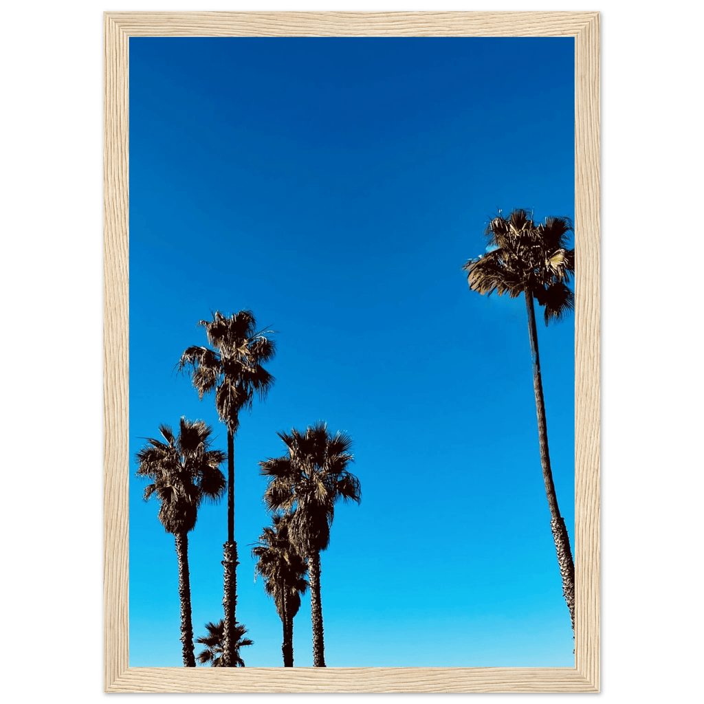 Wooden framed Santa Barbara Palm Tree Magic poster on semi-glossy paper, California-style home decor by CaliCuration.