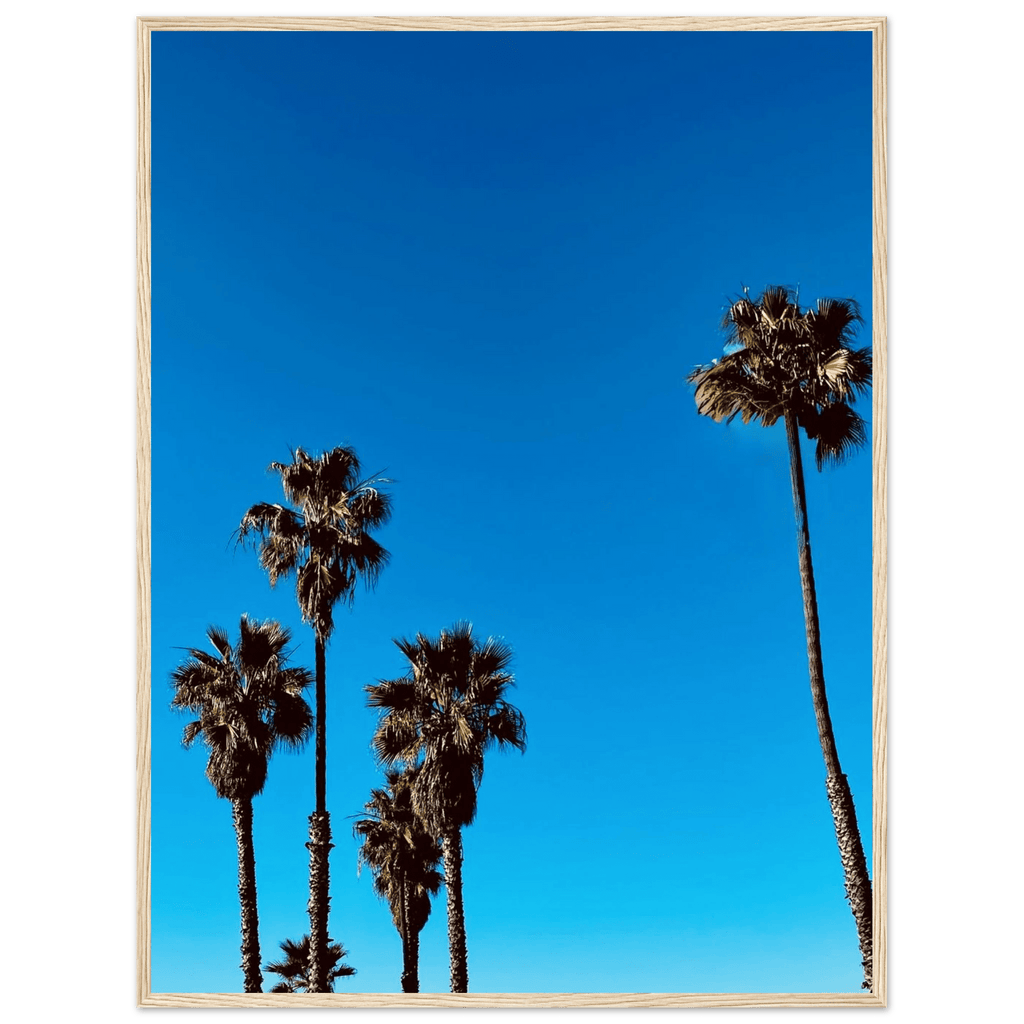 Wooden framed Santa Barbara Palm Tree Magic poster on semi-glossy paper, California art studio edition, perfect for home decor.