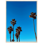 Wooden framed Santa Barbara Palm Tree Magic poster on semi-glossy paper, California art studio edition, perfect for home decor.