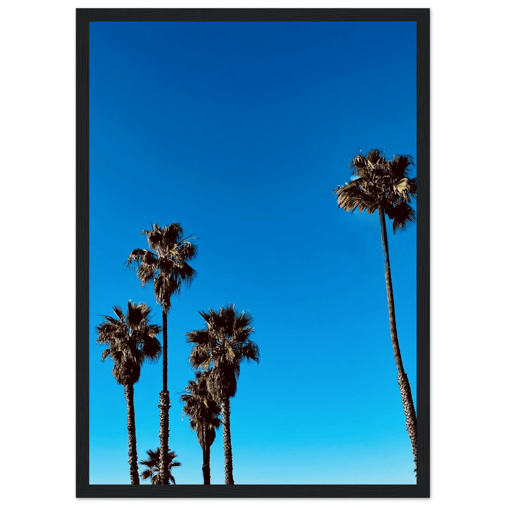 Wooden framed Santa Barbara Palm Tree Magic poster on semi-glossy paper, California home decor art by CaliCuration, Spring '26 edition.