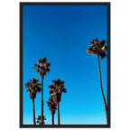 Wooden framed Santa Barbara Palm Tree Magic poster on semi-glossy paper, California home decor art by CaliCuration, Spring '26 edition.