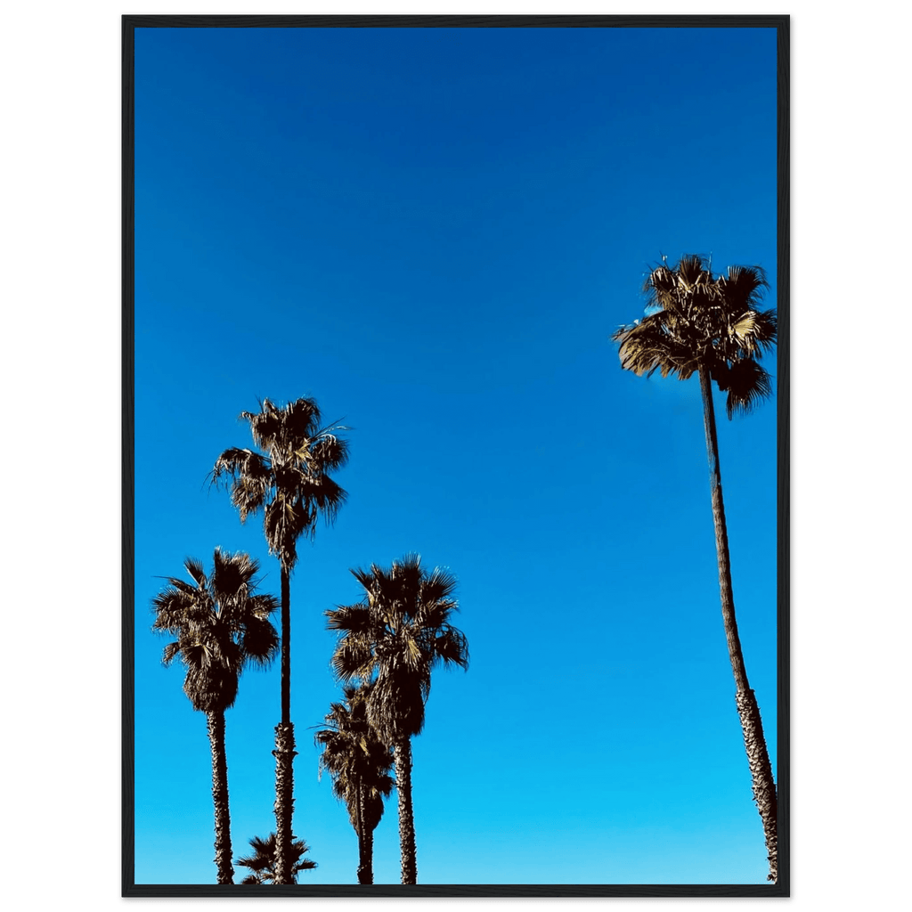 Wooden framed Santa Barbara Palm Tree Magic poster on premium semi-glossy paper, California-themed home decor by CaliCuration.