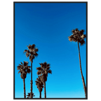 Wooden framed Santa Barbara Palm Tree Magic poster on premium semi-glossy paper, California-themed home decor by CaliCuration.