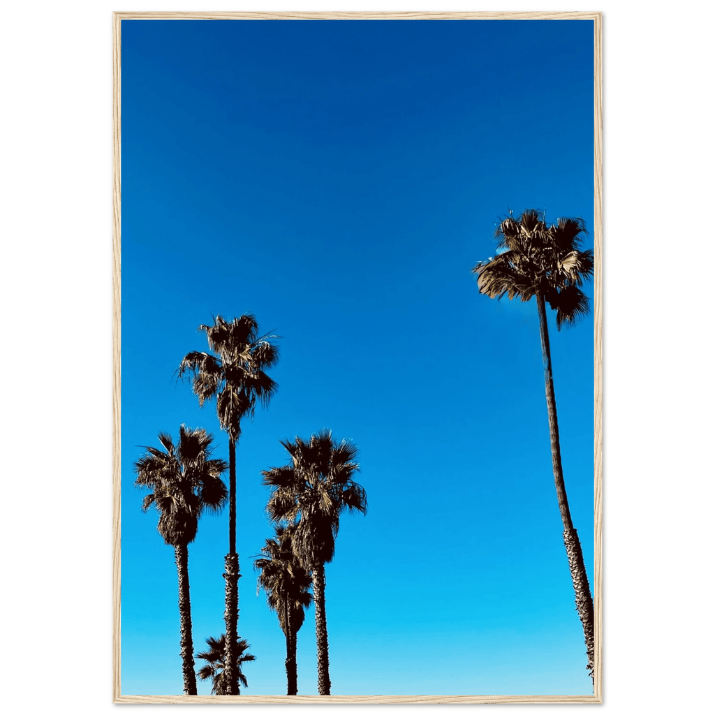 Wooden framed Santa Barbara Palm Tree Magic poster on semi-glossy paper, California-themed home decor by CaliCuration.
