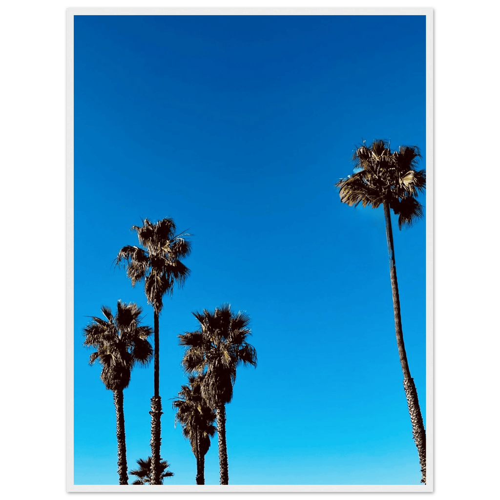 Wooden framed Santa Barbara Palm Tree Magic poster on semi-glossy paper, featuring California poster art by CaliCuration.