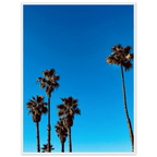 Wooden framed Santa Barbara Palm Tree Magic poster on semi-glossy paper, featuring California poster art by CaliCuration.