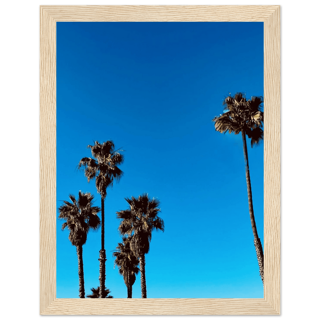 Wooden framed Santa Barbara Palm Tree Magic poster on premium semi-glossy paper, California-themed home decor by CaliCuration.