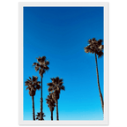 Wooden framed Santa Barbara Palm Tree Magic poster on semi-glossy paper, featuring California poster art from CaliCuration Spring '26.