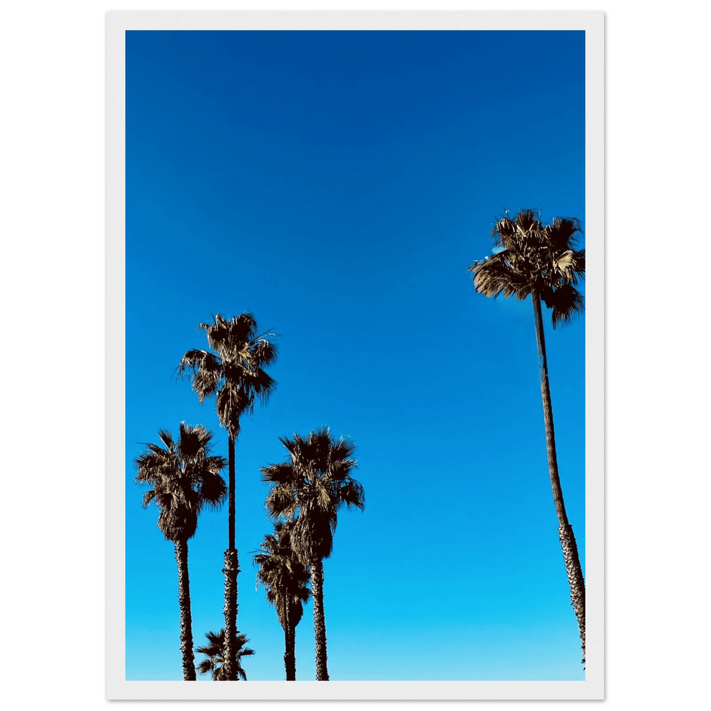 Santa Barbara Palm Tree Magic wooden framed poster by CaliCuration, featuring California-inspired palm tree art on semi-glossy paper.