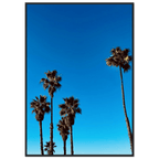 Wooden-framed Santa Barbara Palm Tree Magic poster by CaliCuration, featuring California-inspired art on semi-glossy paper.