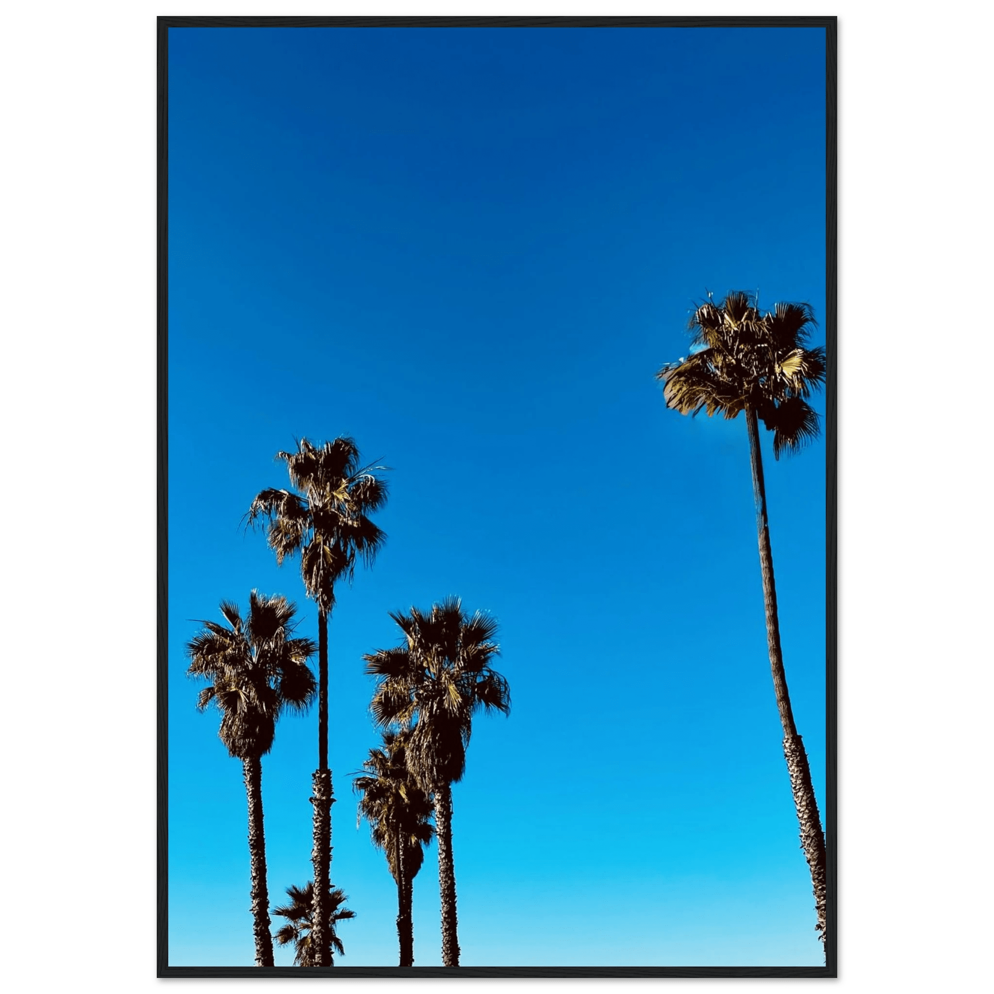 Wooden-framed Santa Barbara Palm Tree Magic poster by CaliCuration, featuring California-inspired art on semi-glossy paper.