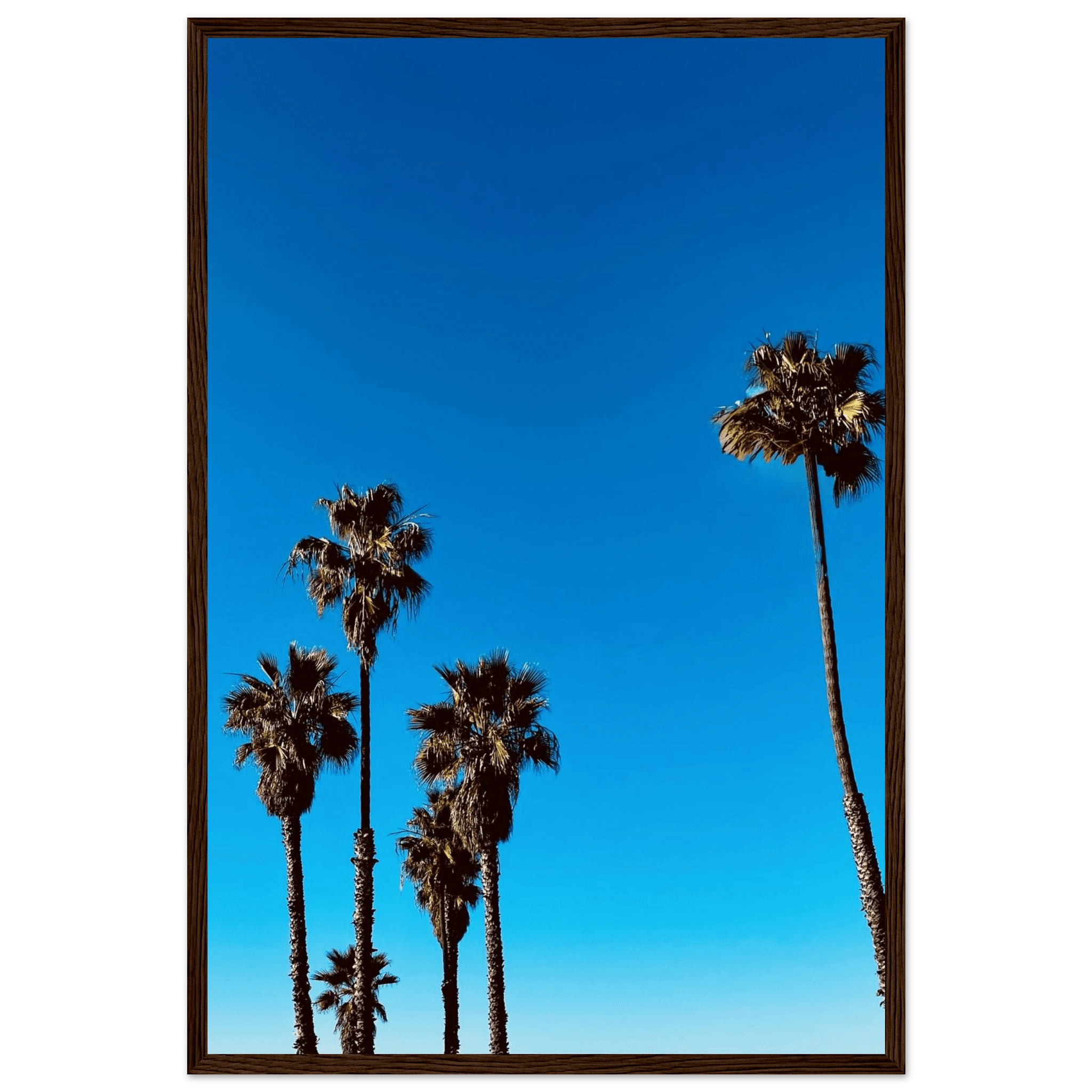 Santa Barbara Palm Tree Magic wooden framed poster on semi-glossy paper, featuring California poster art in Studio Edition style.