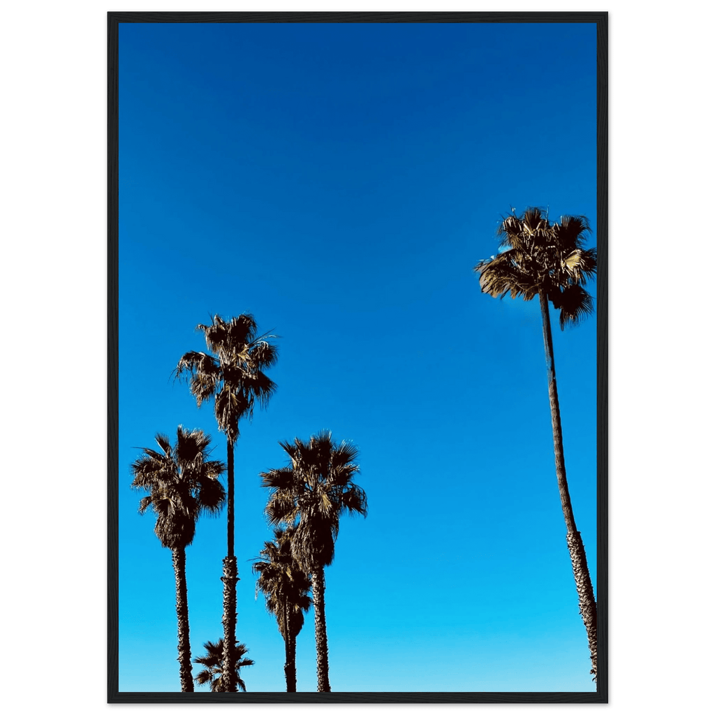 Wooden framed Santa Barbara Palm Tree Magic poster on premium semi-glossy paper featuring California poster art by CaliCuration.