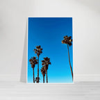 Wooden framed Santa Barbara Palm Tree Magic poster on semi-glossy paper, California-themed home decor by CaliCuration.