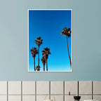 Wooden framed Santa Barbara Palm Tree Magic poster on semi-glossy paper, California-themed home decor by CaliCuration.