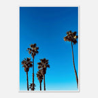 Wooden framed Santa Barbara Palm Tree Magic poster on semi-glossy paper, featuring California poster art by CaliCuration.