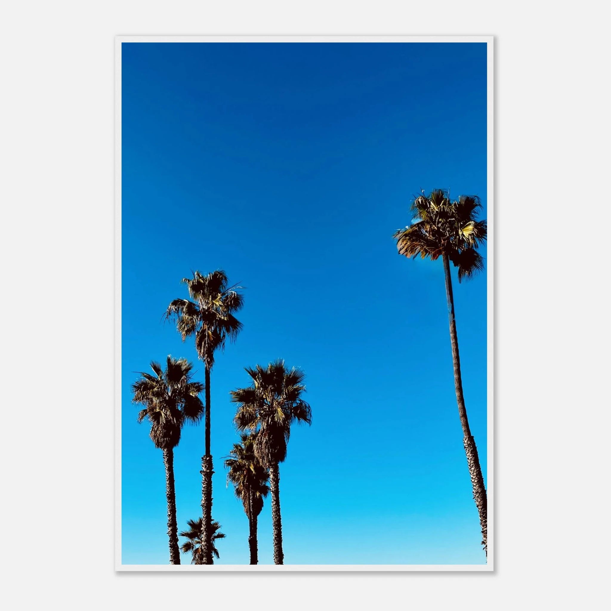 Wooden framed Santa Barbara Palm Tree Magic poster on semi-glossy paper, featuring California poster art by CaliCuration.