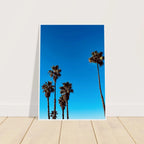 Wooden framed Santa Barbara Palm Tree Magic poster on semi-glossy paper, California home decor art by CaliCuration, studio edition.