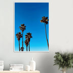 Wooden framed Santa Barbara Palm Tree Magic poster on premium semi-glossy paper, California home decor art, Studio Edition Spring '26.